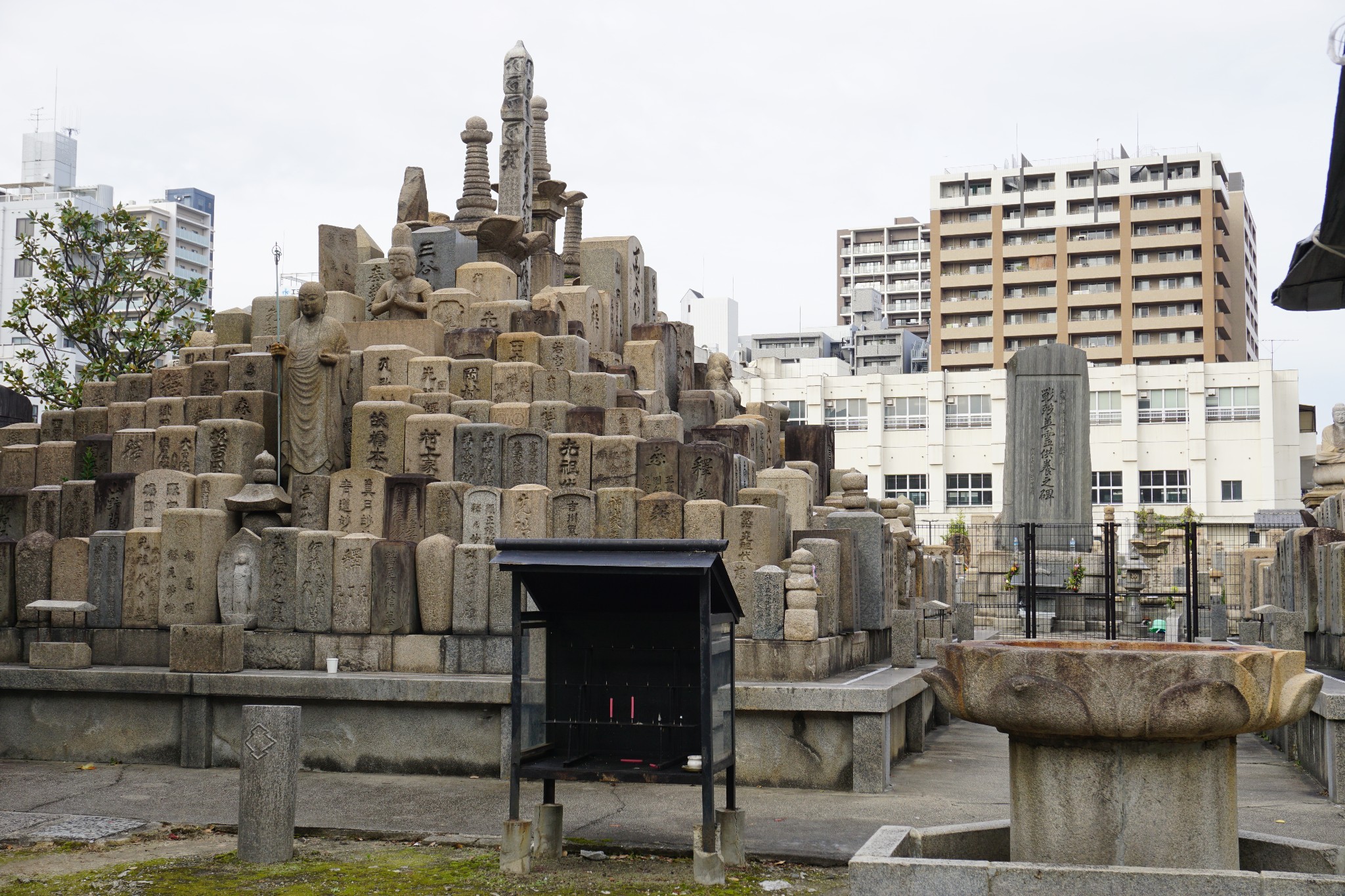 京都自助遊攻略