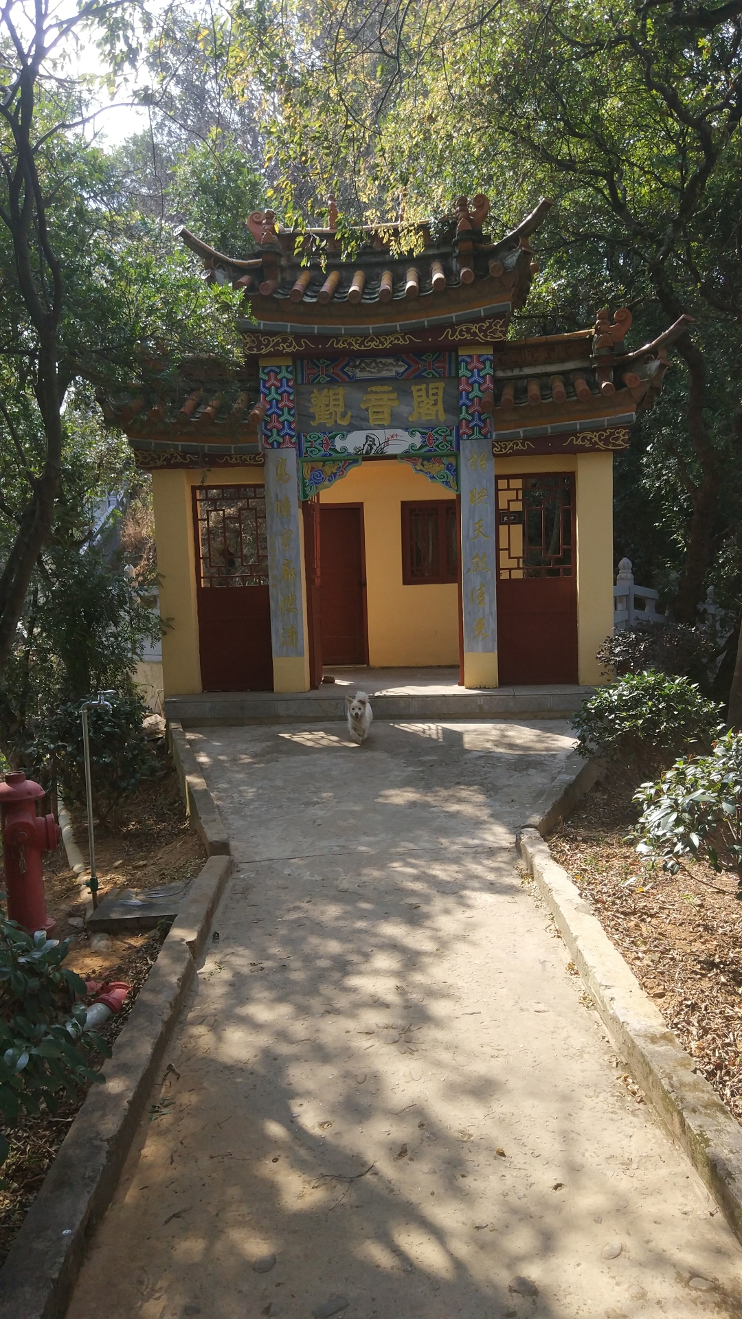 昆明观音山观音寺—远眺滇池,发呆吹风.--昆明游记--马蜂窝