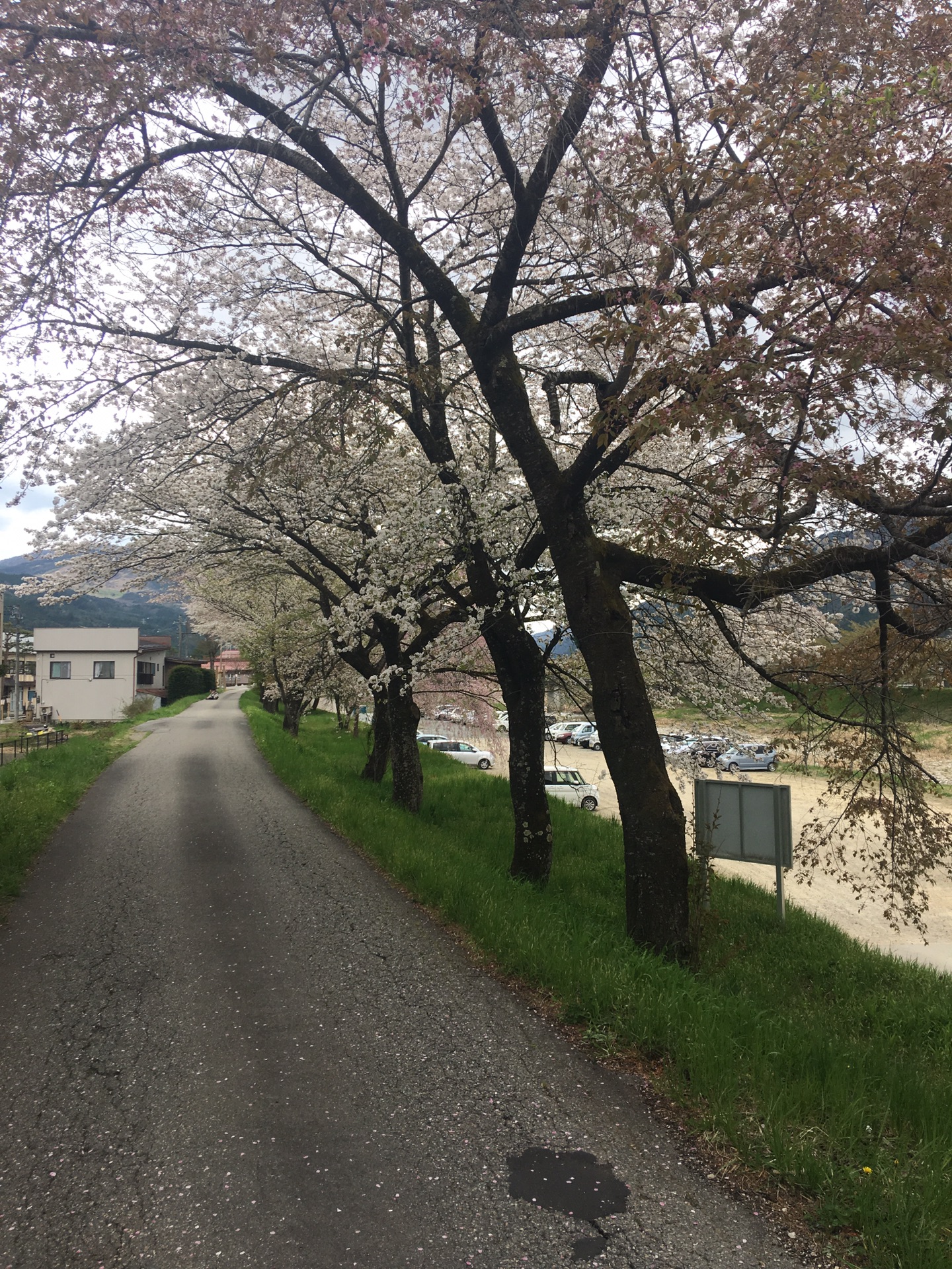 名古屋自助遊攻略