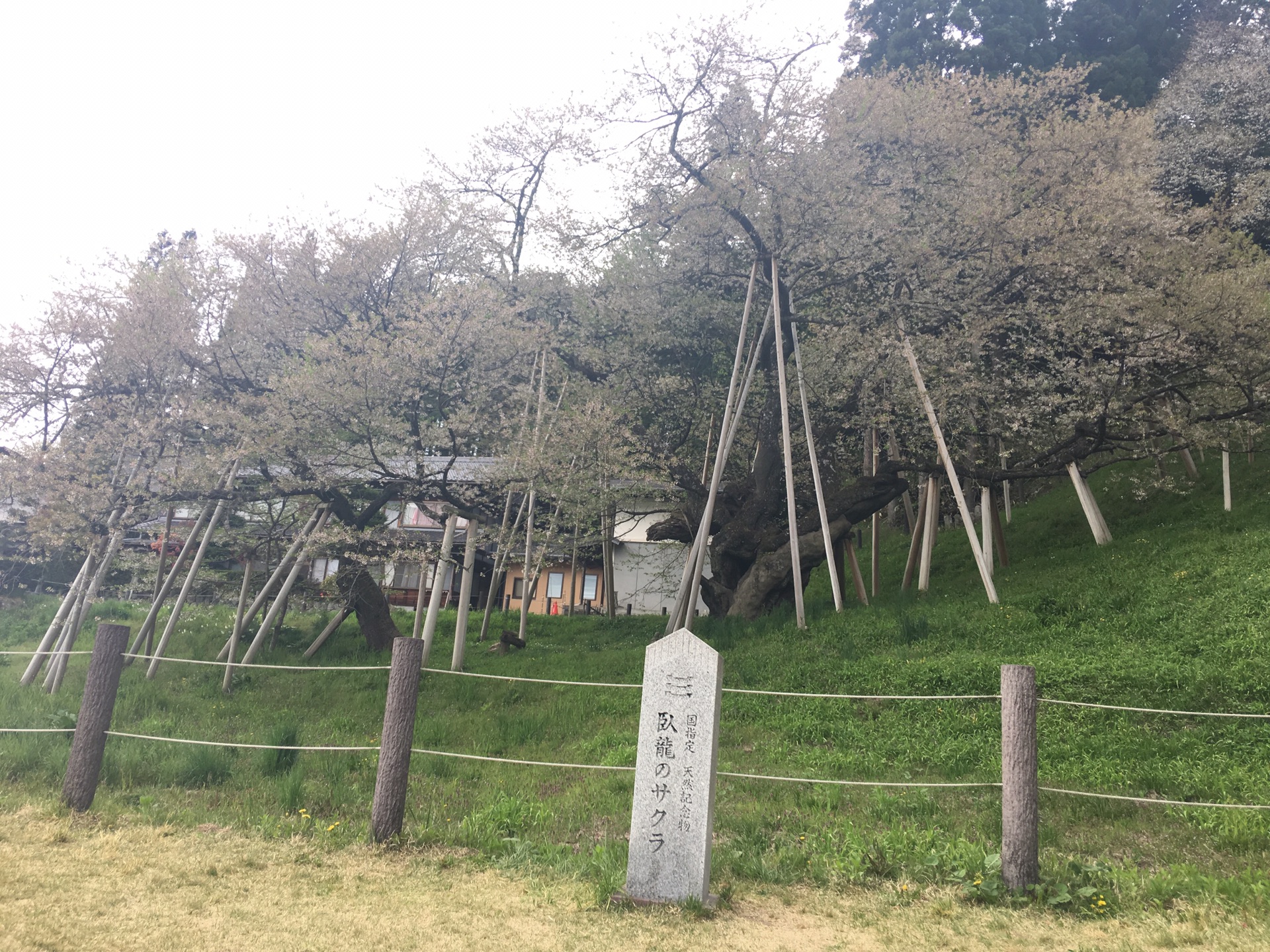 名古屋自助遊攻略