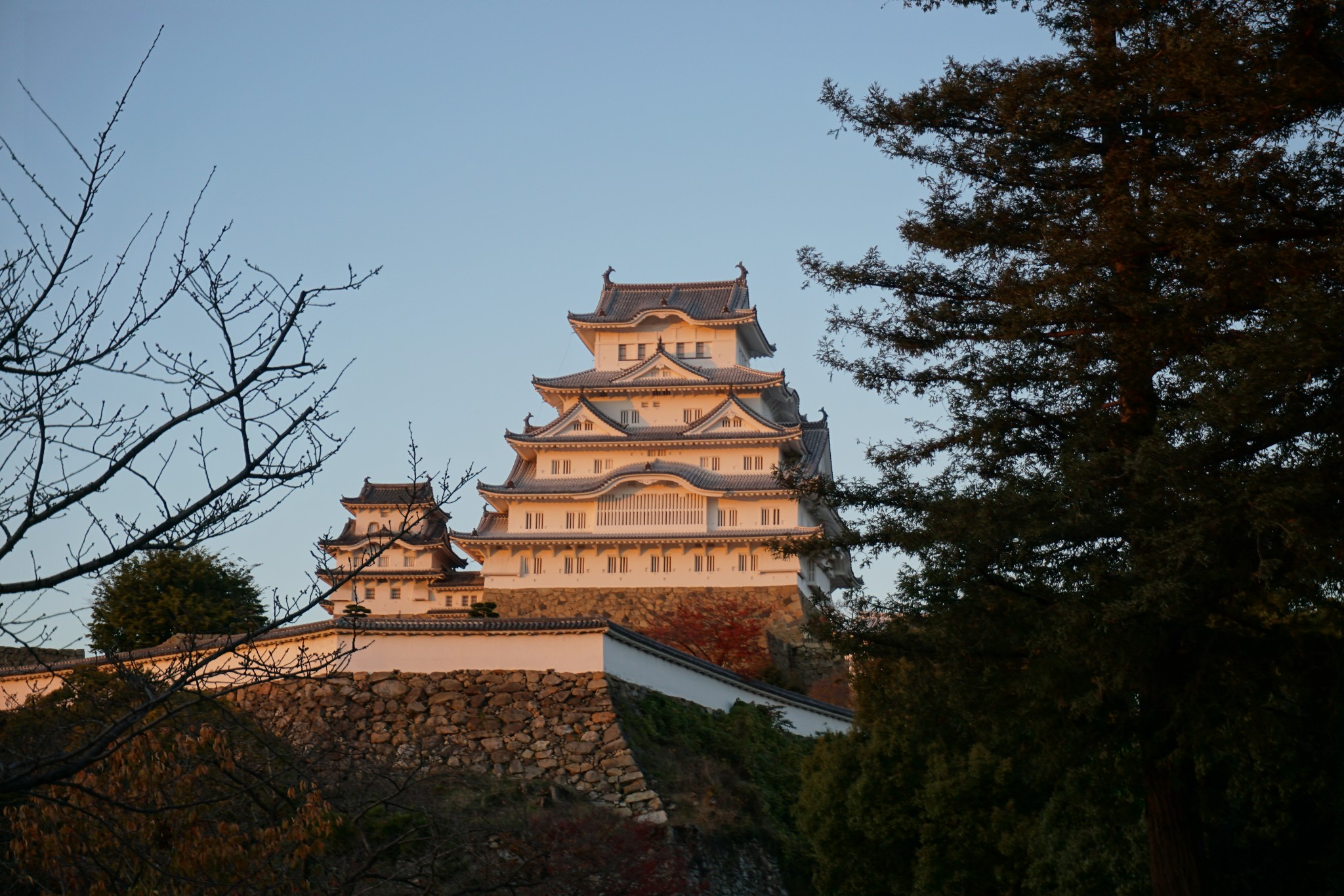 京都自助遊攻略