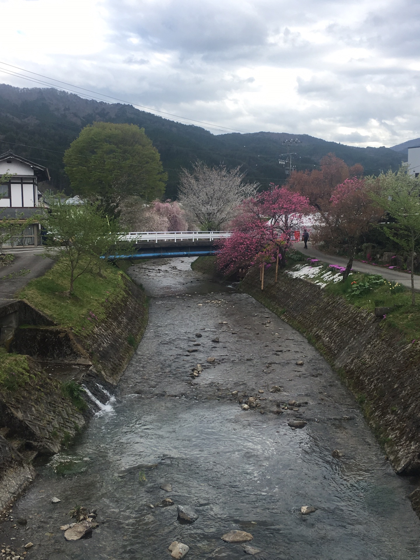 名古屋自助遊攻略