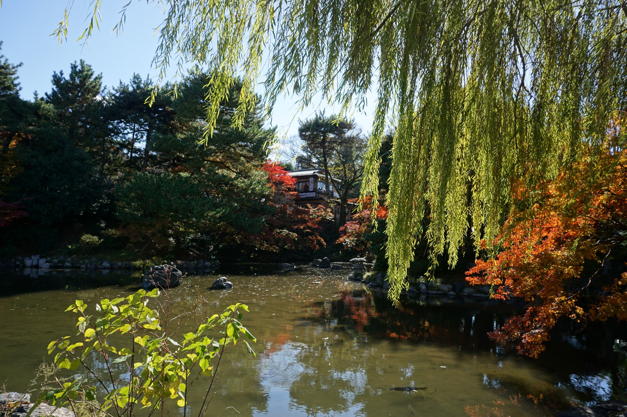 京都自助遊攻略