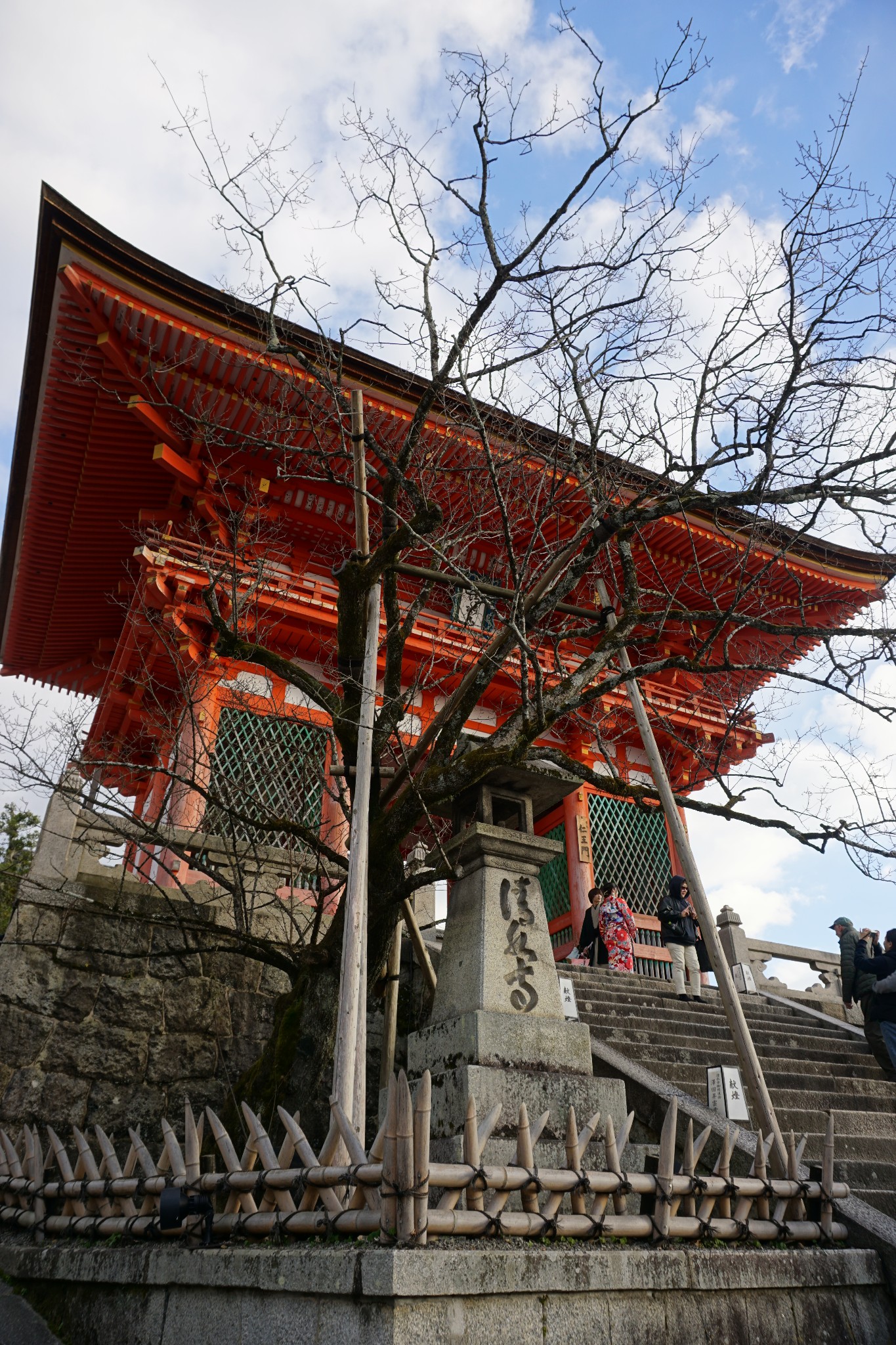 京都自助遊攻略