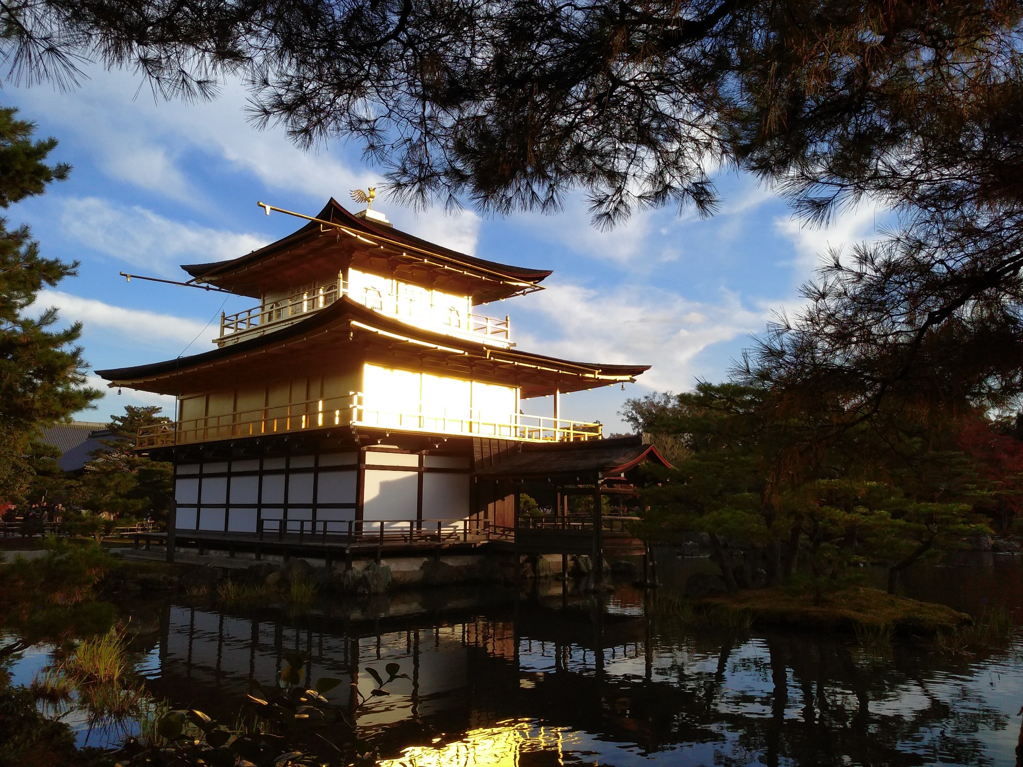 京都自助遊攻略