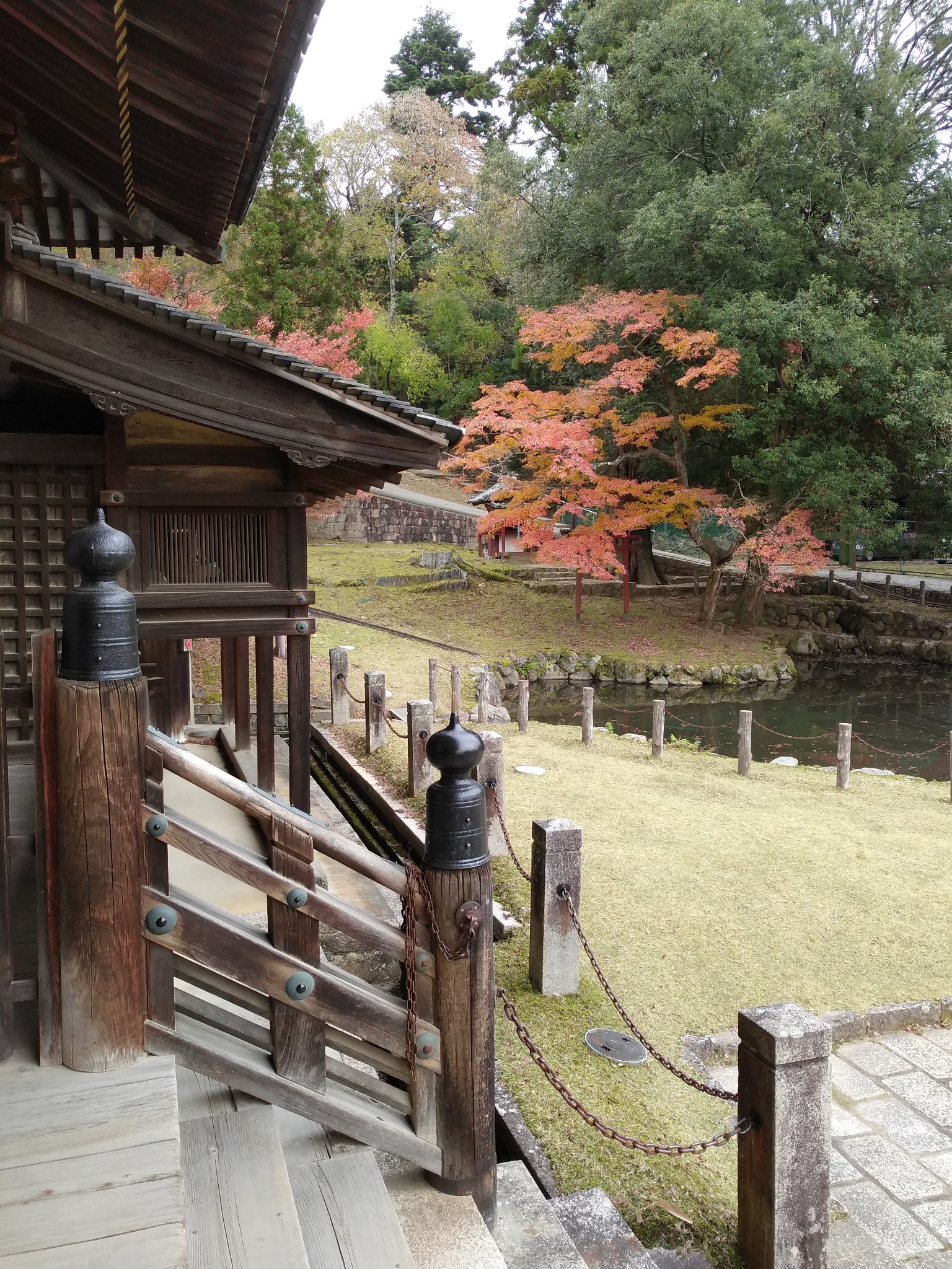 京都自助遊攻略