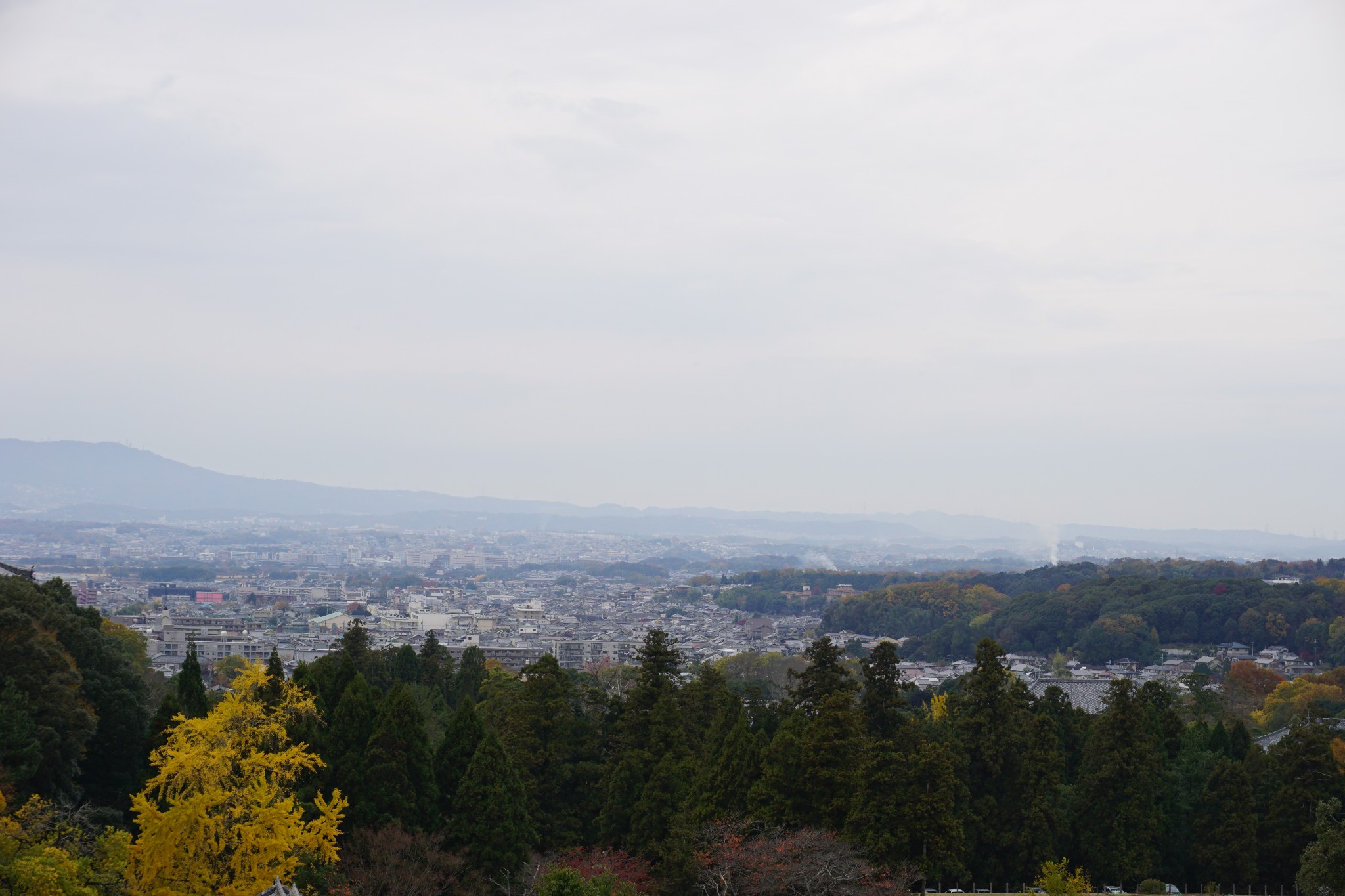 京都自助遊攻略