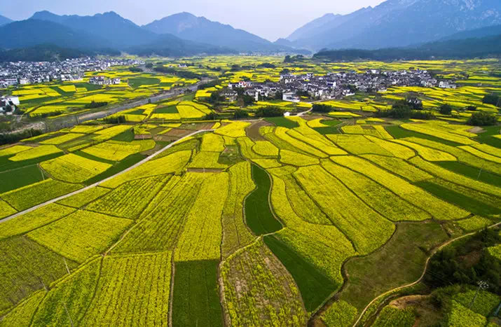婺源东线一日游