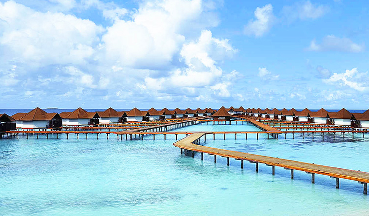 马尔代夫鲁滨逊岛7日蜜月定制(咨询领红包 奢华五星岛屿 吃货推荐