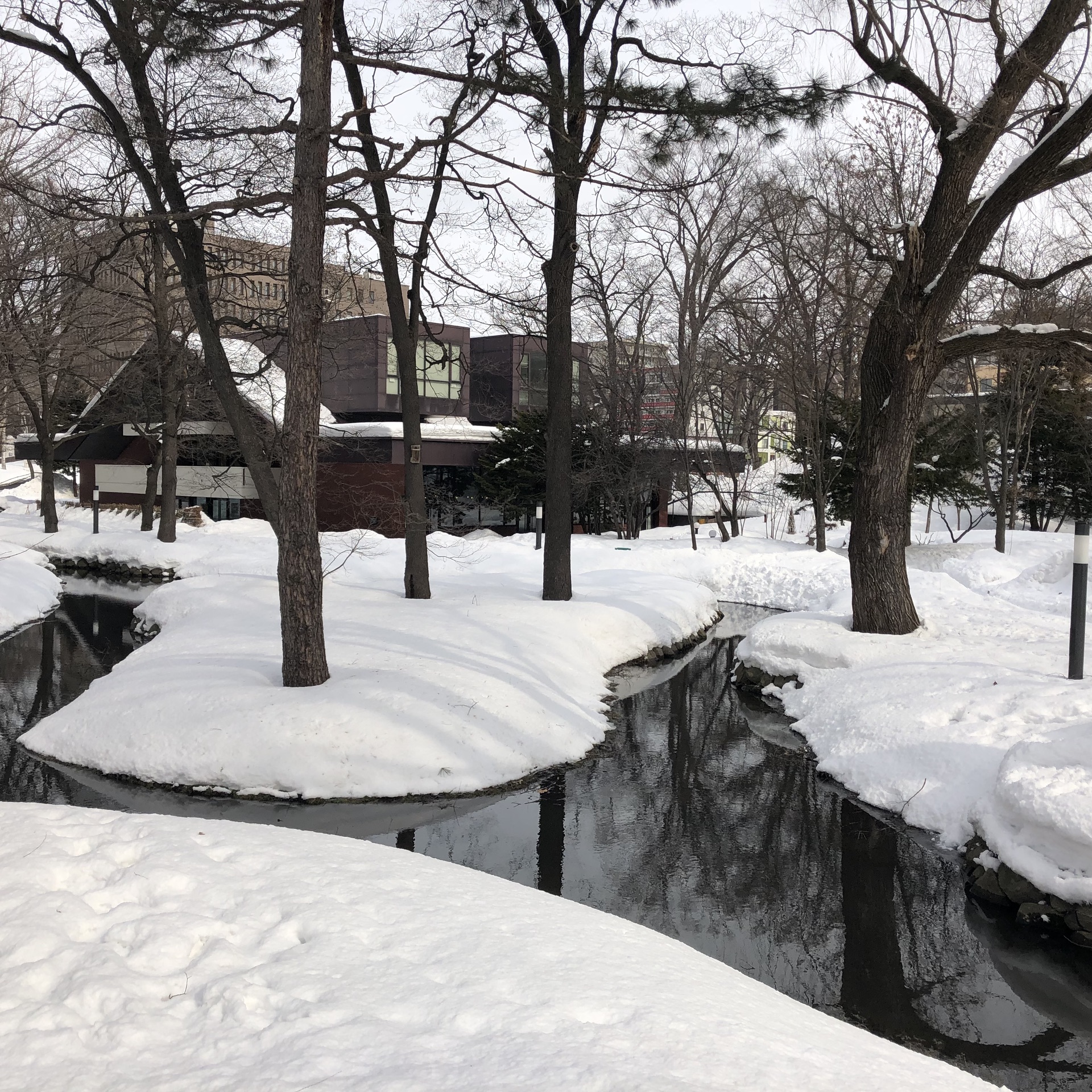 札幌自助遊攻略