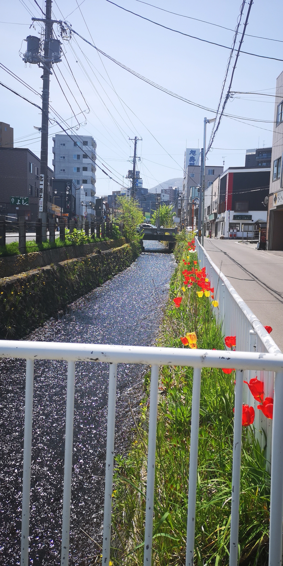 札幌自助遊攻略