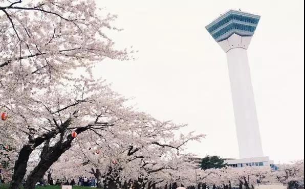 北海道自助遊攻略