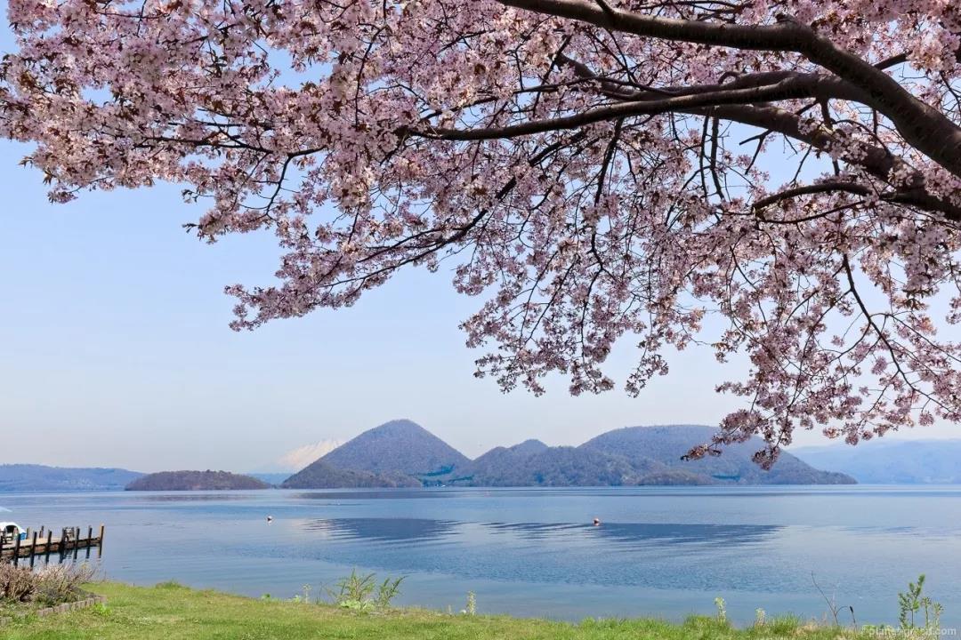 北海道自助遊攻略