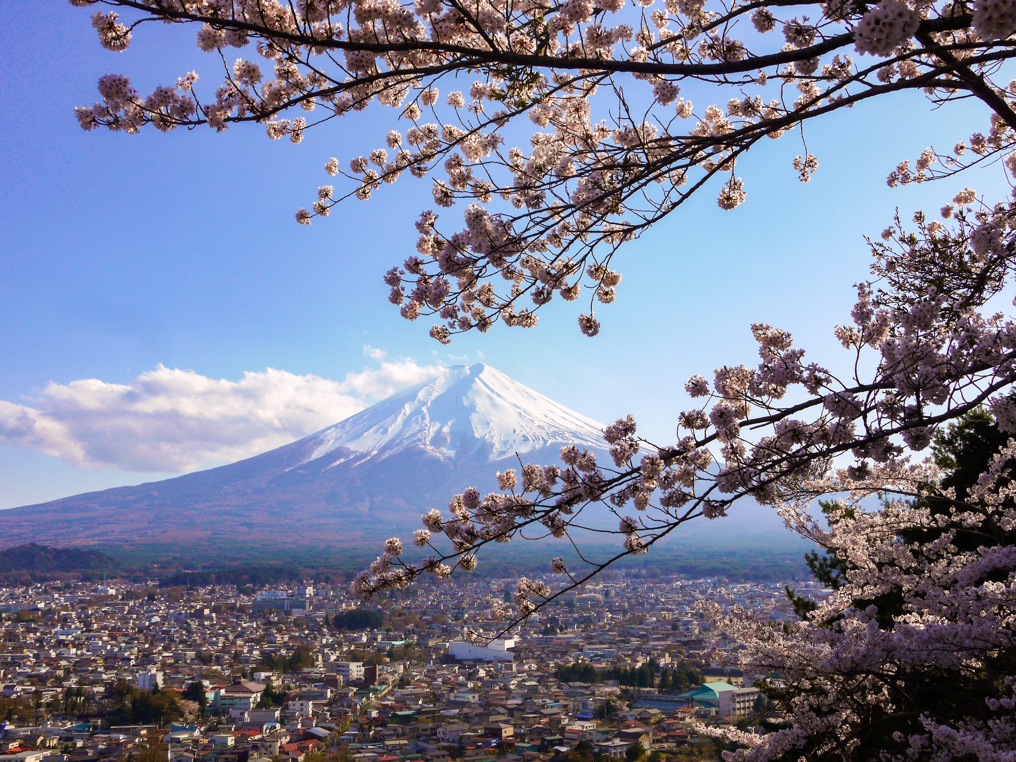 富士山自助遊攻略