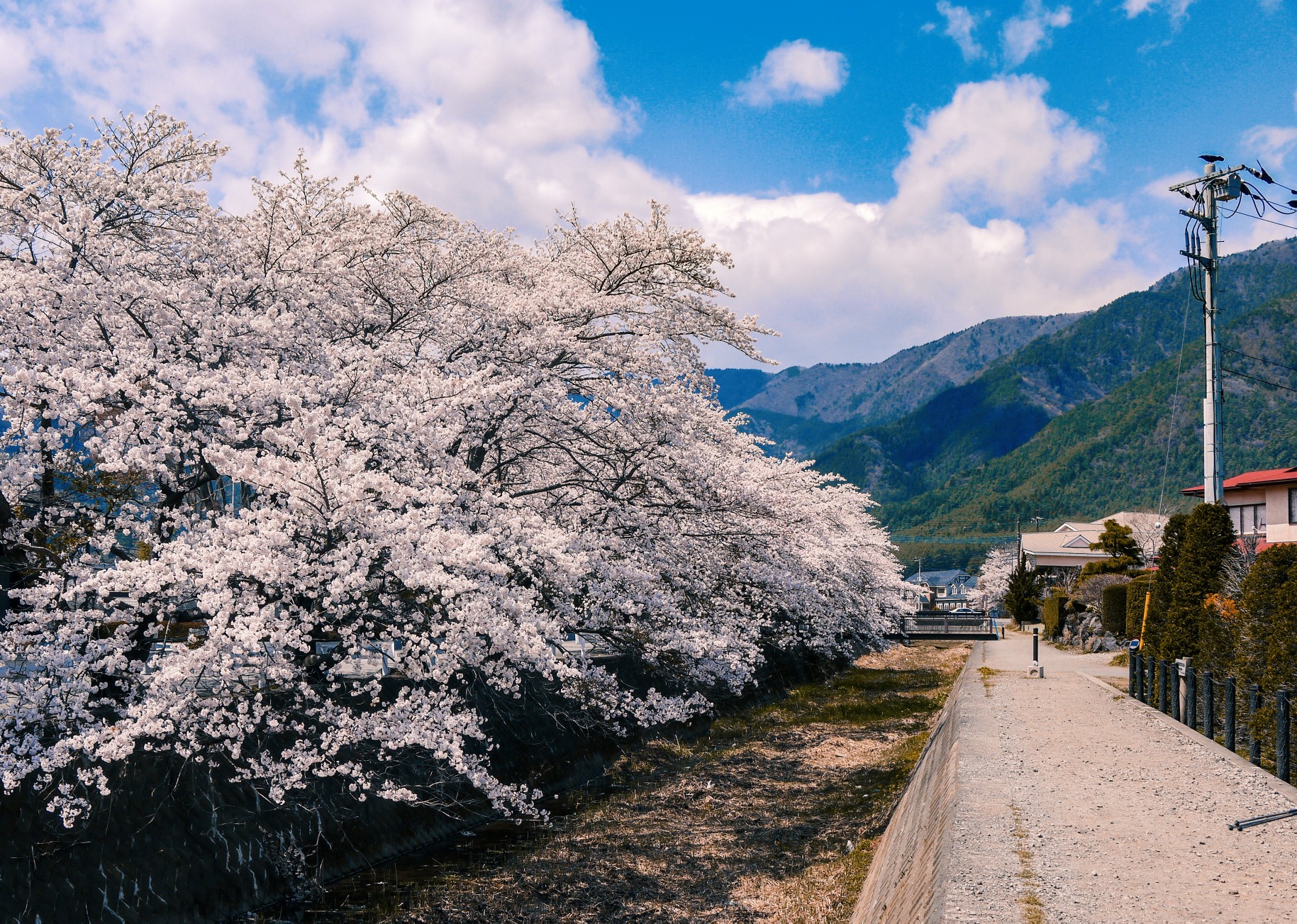 富士山自助遊攻略