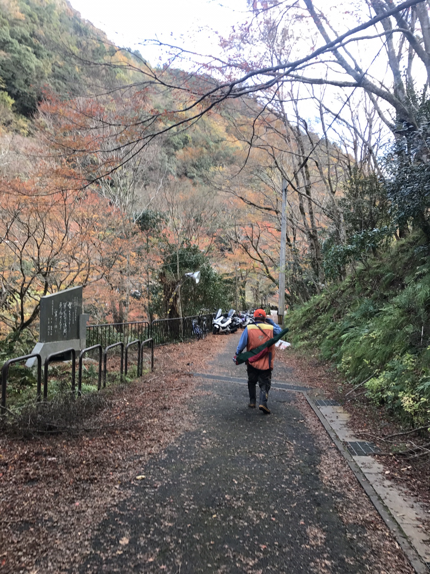 京都自助遊攻略