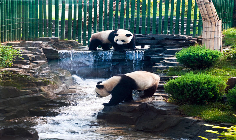 大連森林動物園