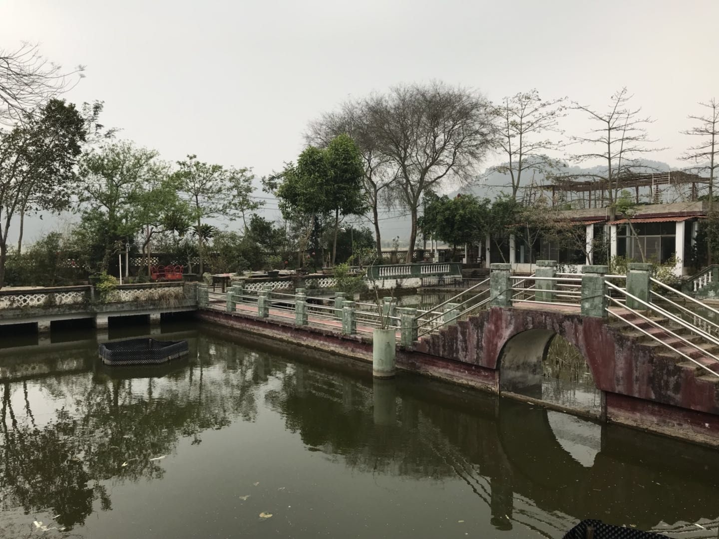 春节游四会宝林寺,广西龙胜梯田