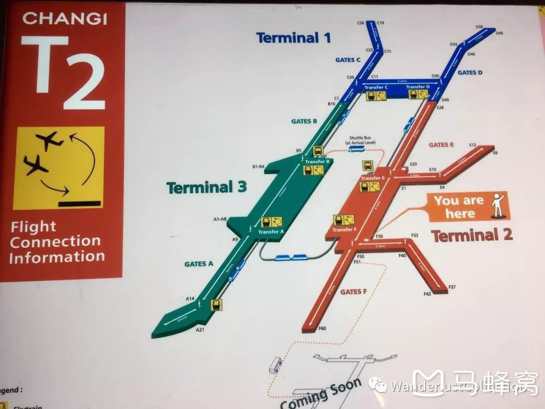 新加坡樟宜机场位置图片