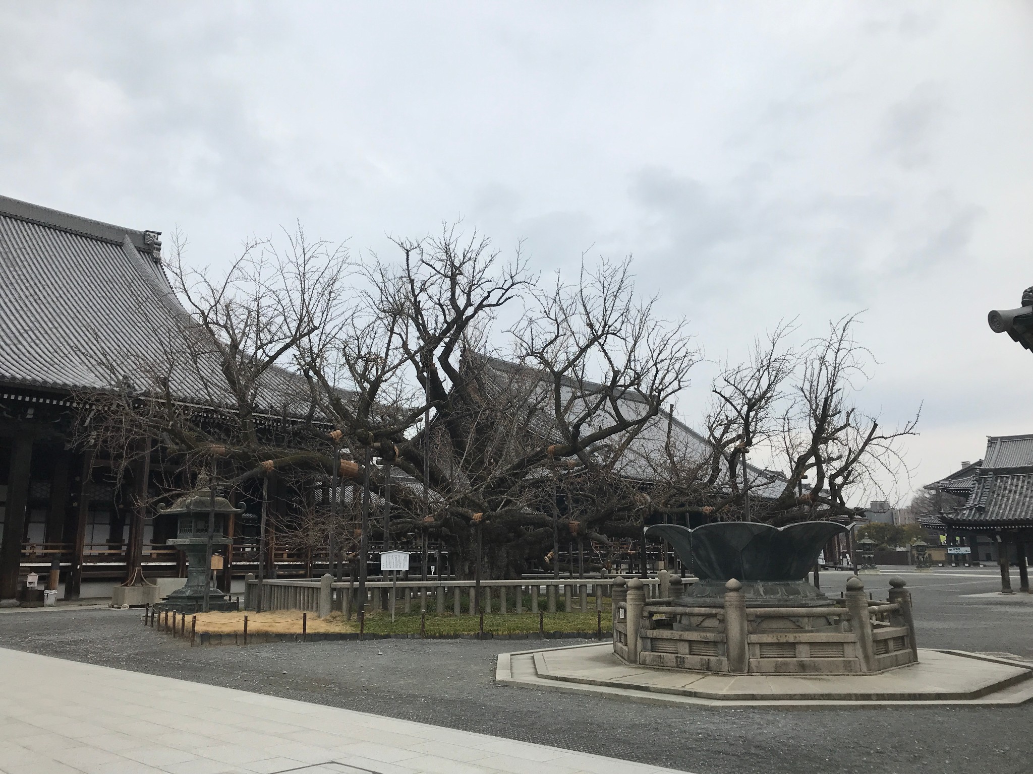 名古屋自助遊攻略