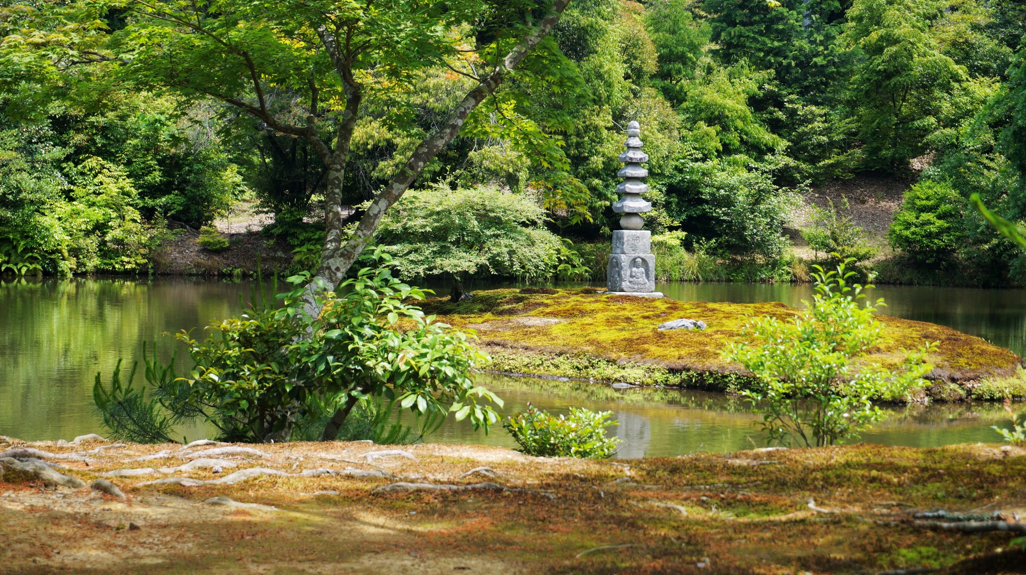 京都自助遊攻略