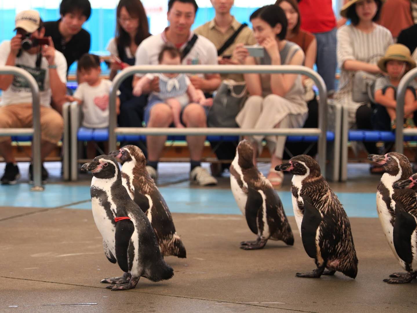 名古屋自助遊攻略