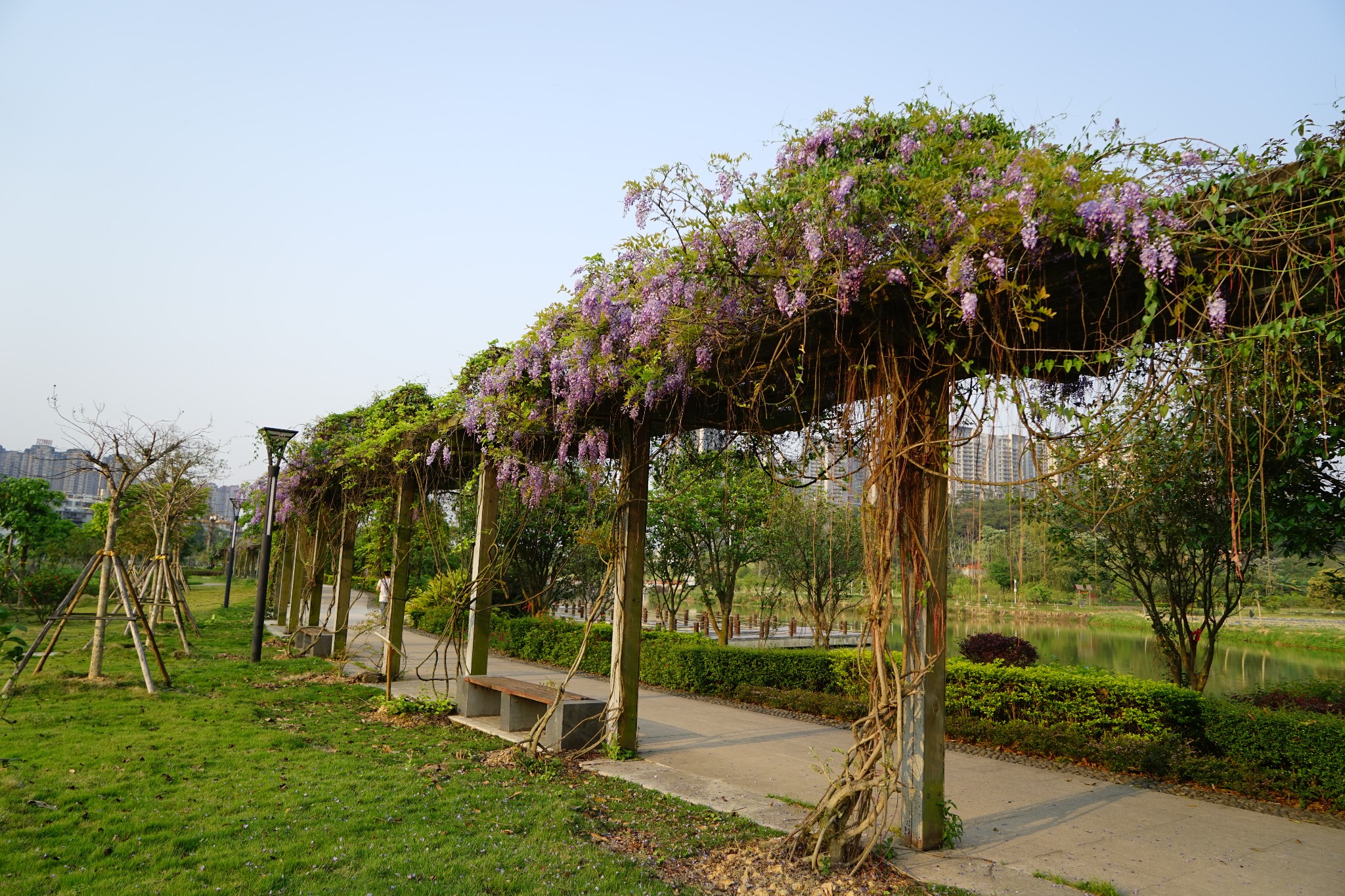 百草争春:南宁游之六——广西药用植物园