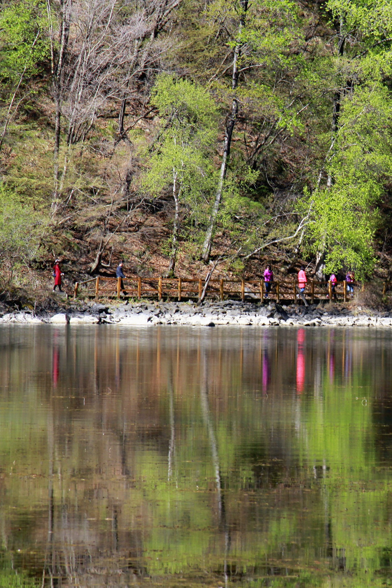 春天的邂逅------春游松坪沟