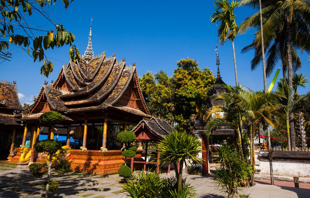 西双版纳深度纯玩勐仑植物园 傣族园一日游(零距离接触热带雨林奇观