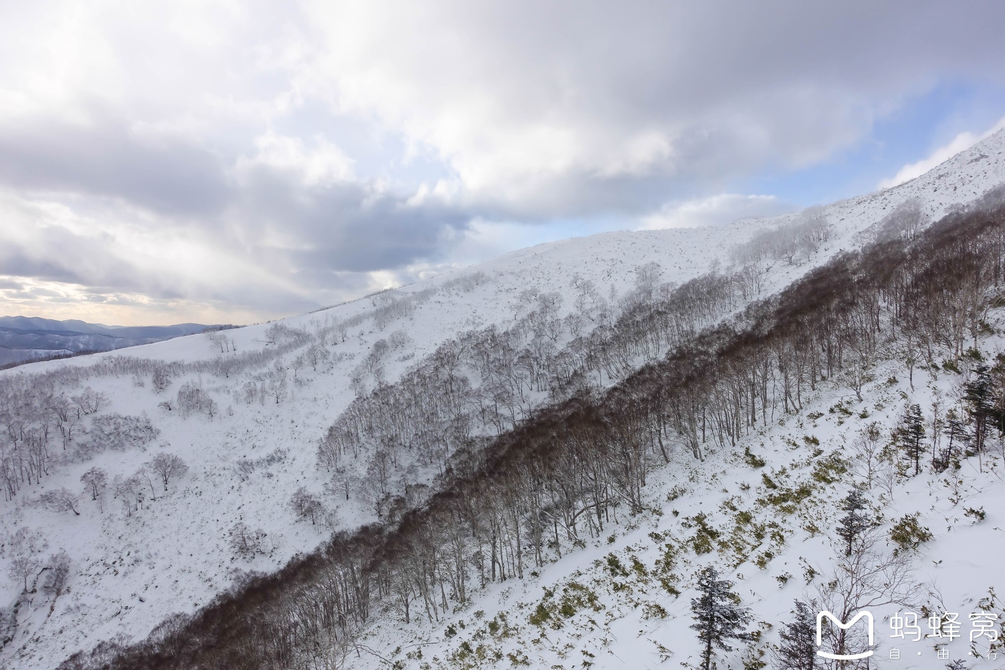 北海道自助遊攻略