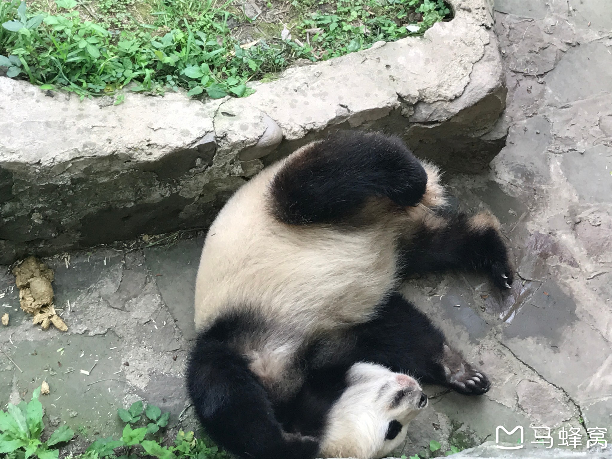 都江堰自助遊攻略