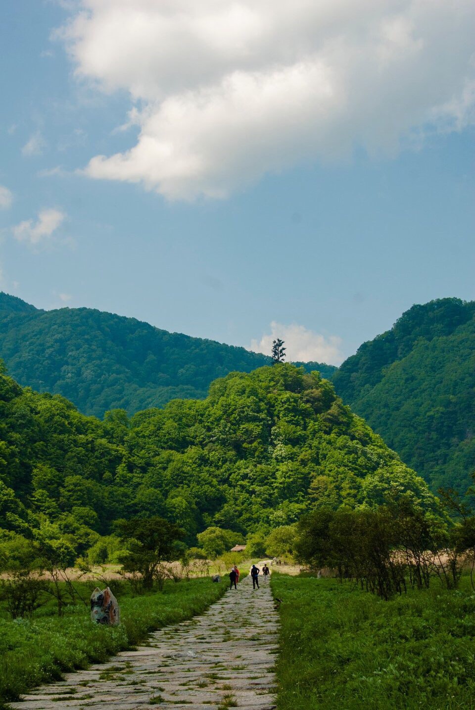 神農架自助遊攻略