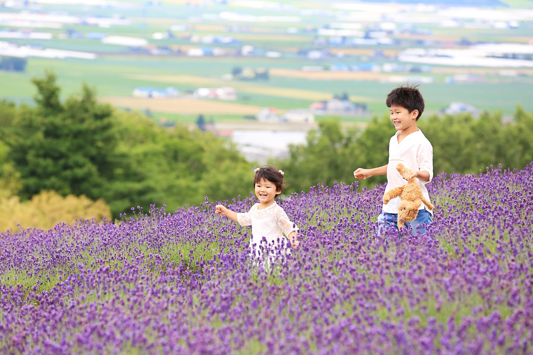 北海道自助遊攻略