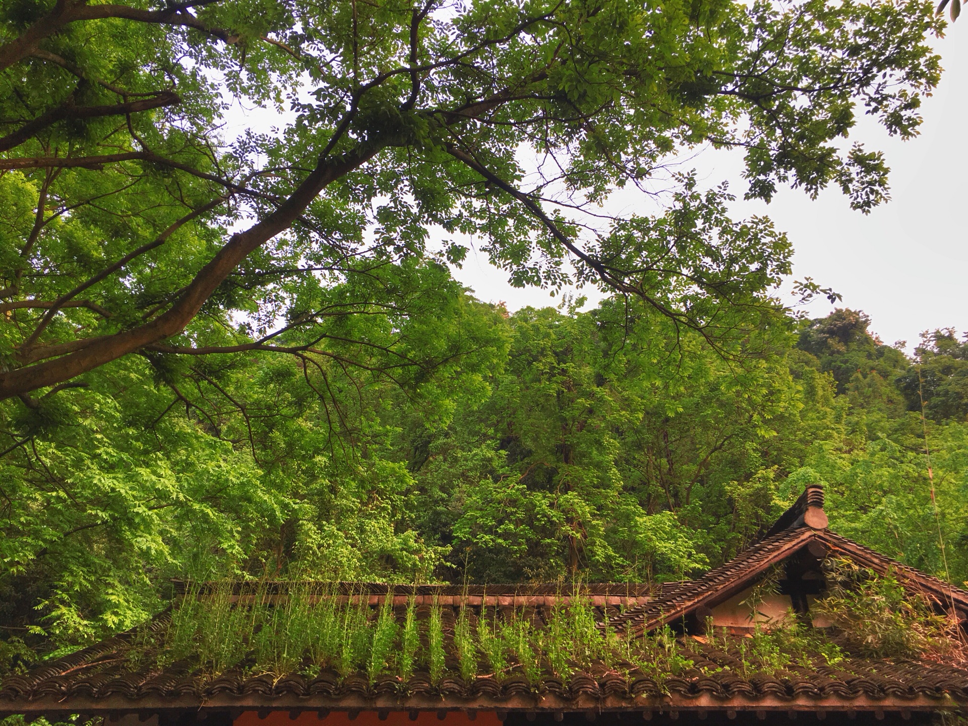 從靈隱寺到天竺三寺怎麼走?需要多長時間