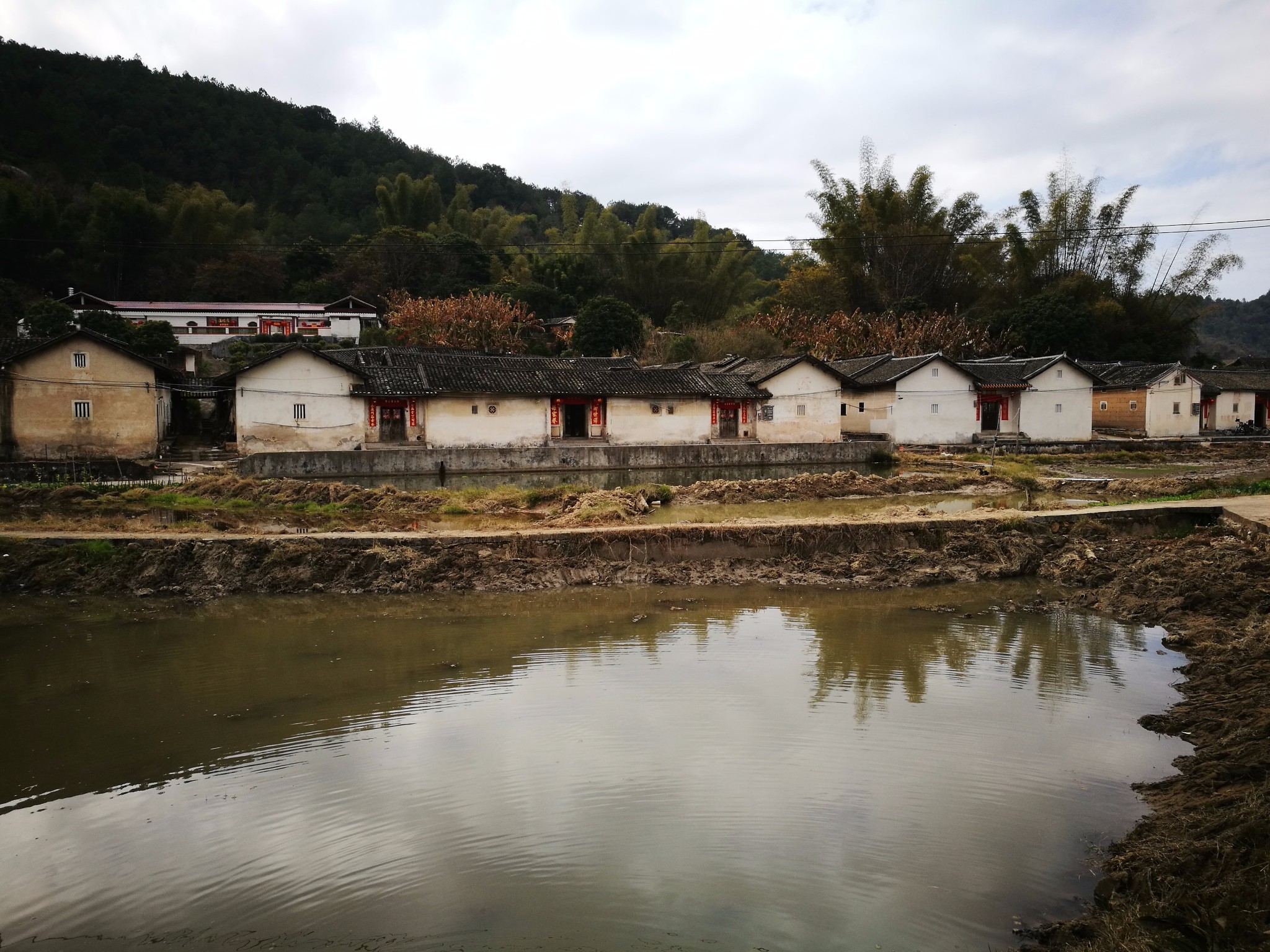 春赏李花,漫步南口侨乡村客家围龙屋