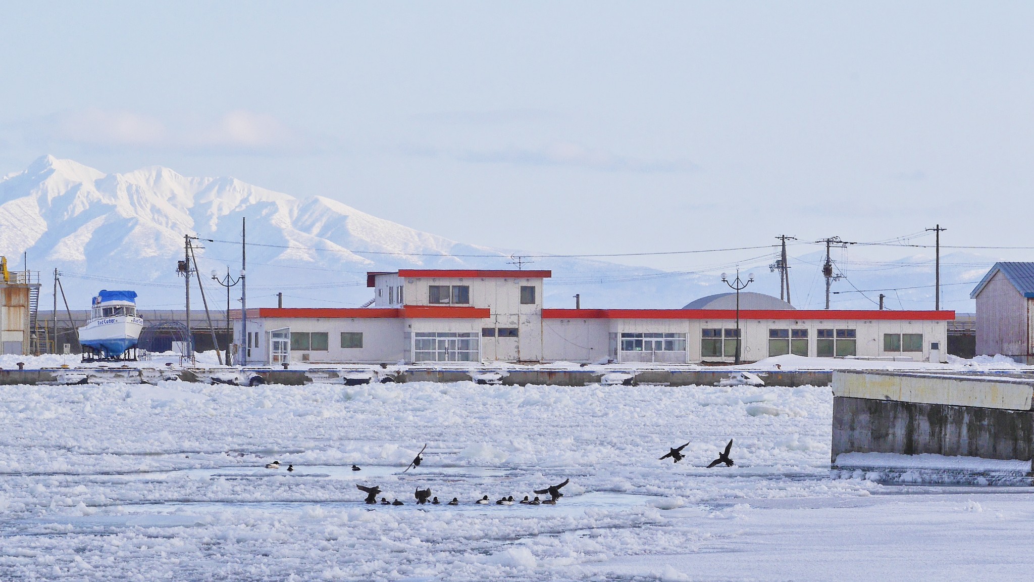 北海道自助遊攻略