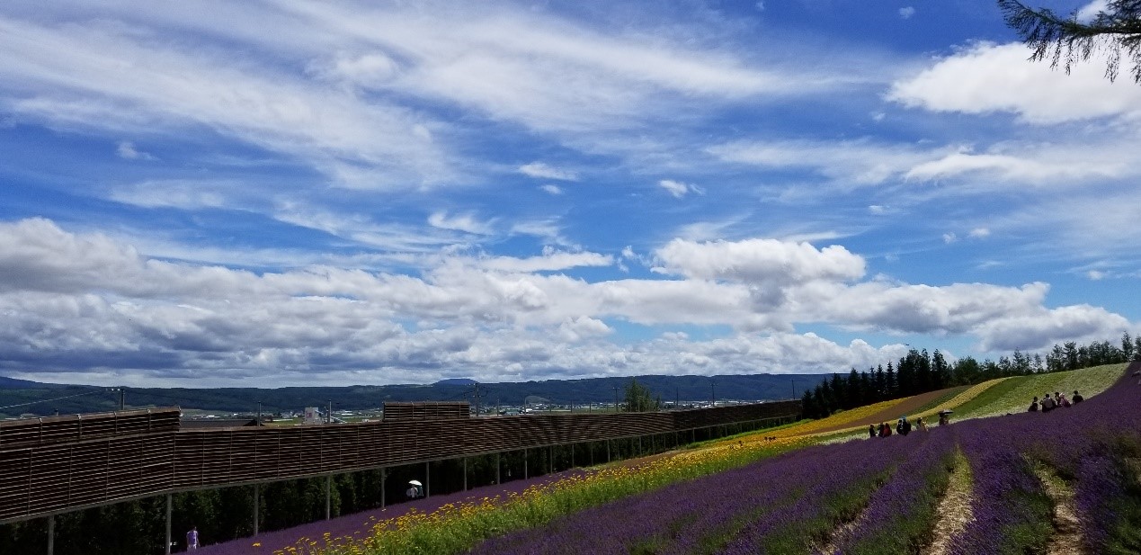 札幌自助遊攻略