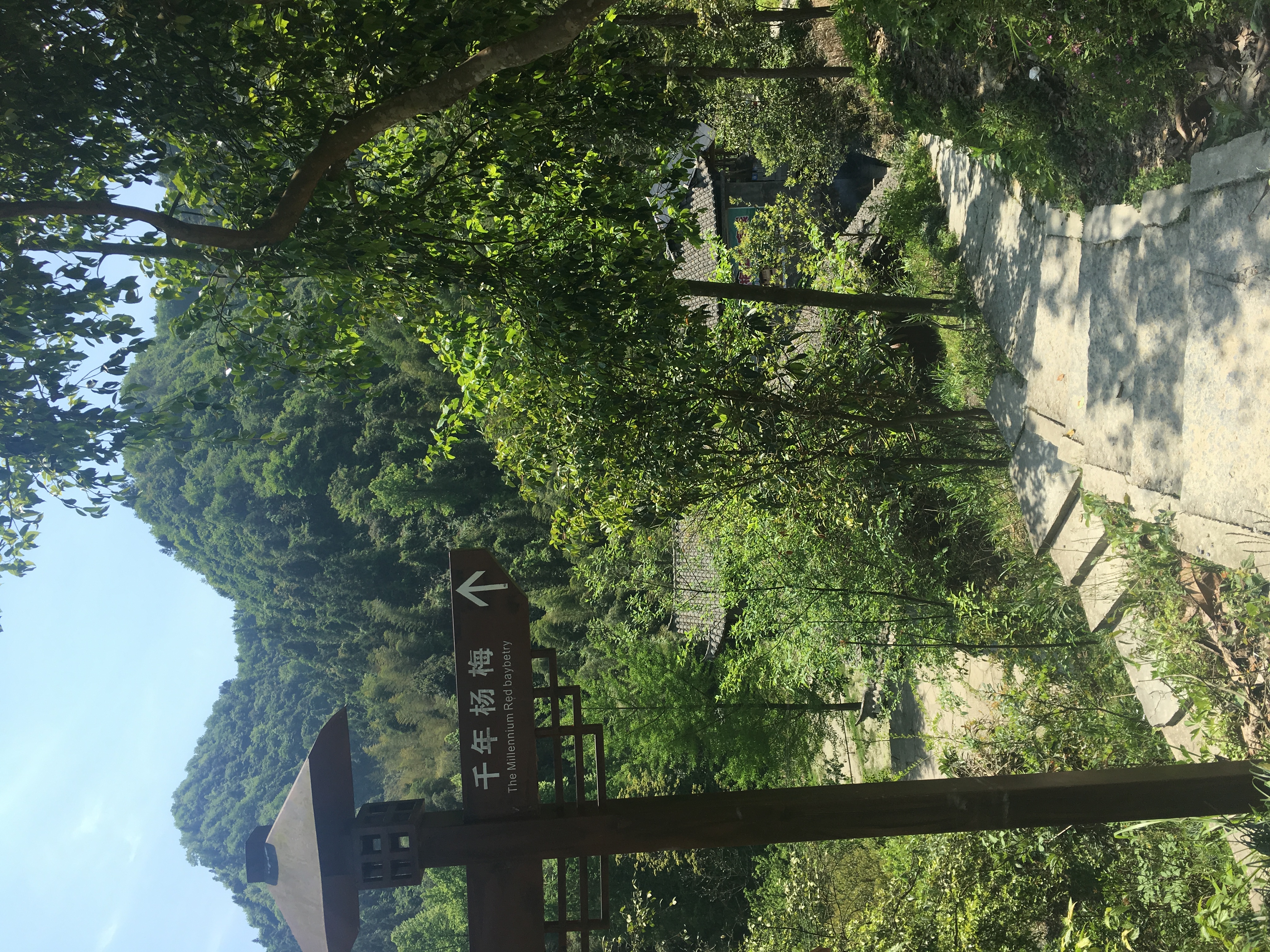 重庆到来凤旅游