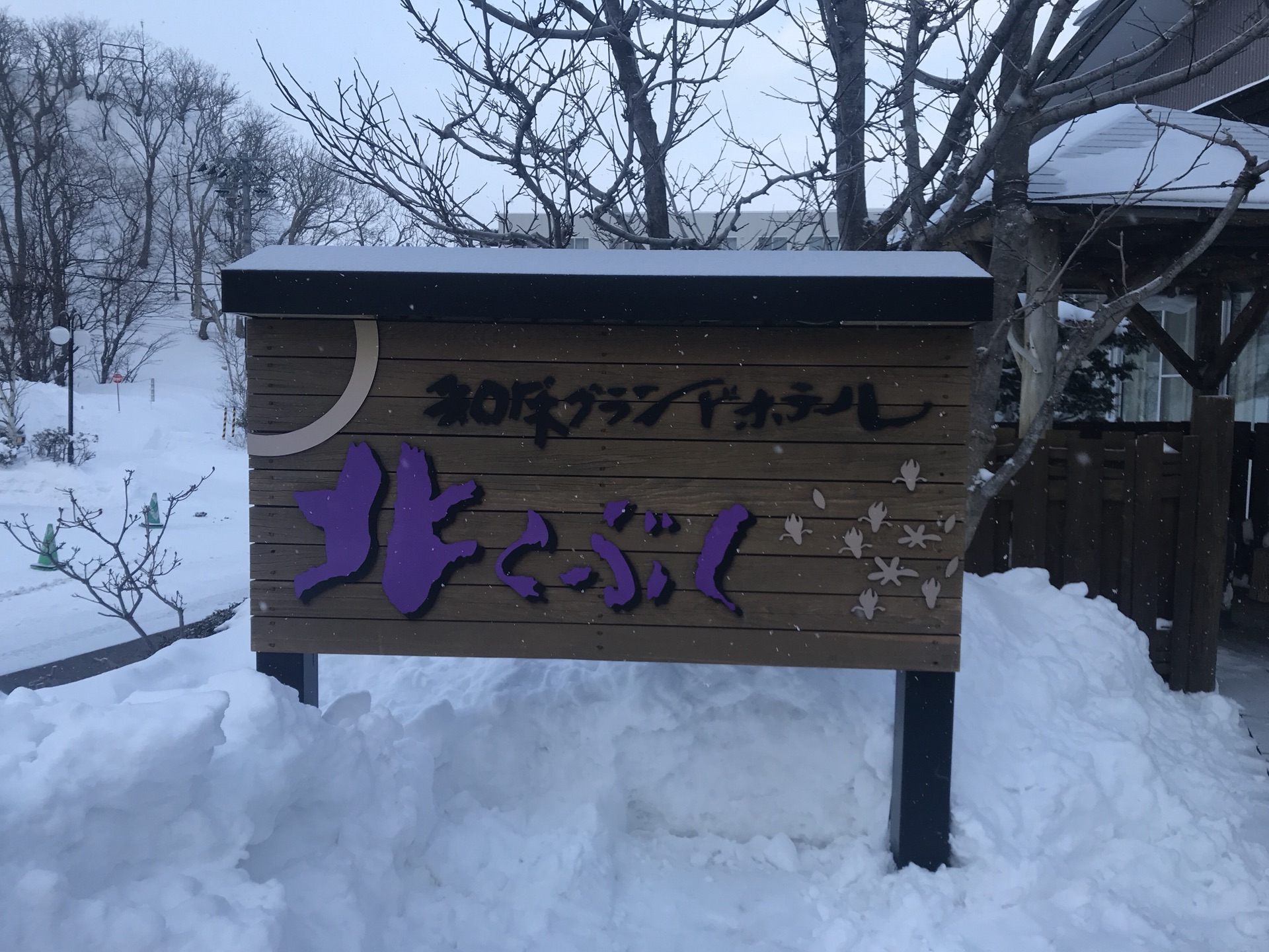 北海道自助遊攻略