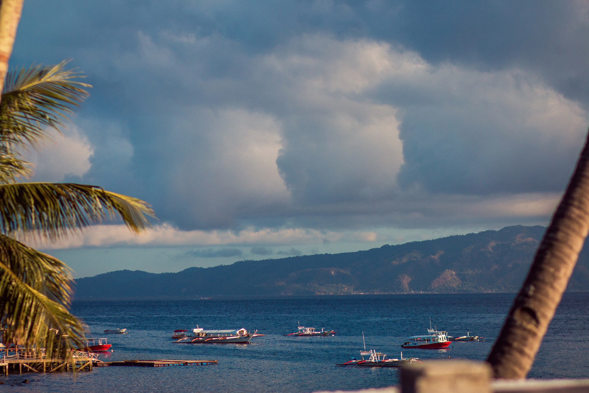 "菲"常难忘的考证之旅—pg海豚湾,菲律宾自助游攻略 - 马蜂窝