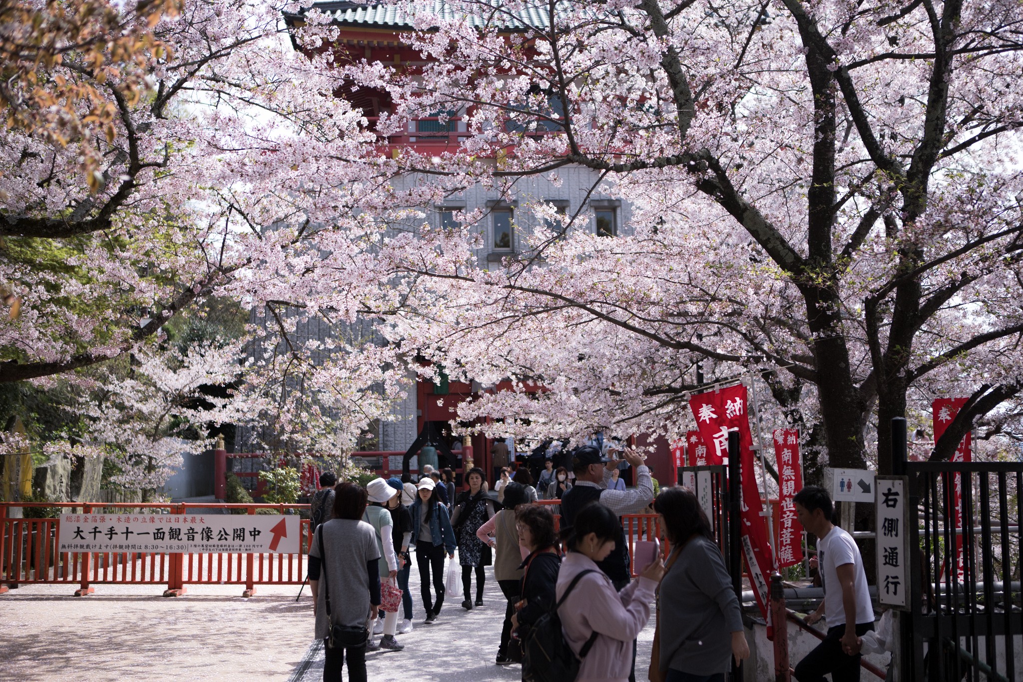 和歌山市自助遊攻略