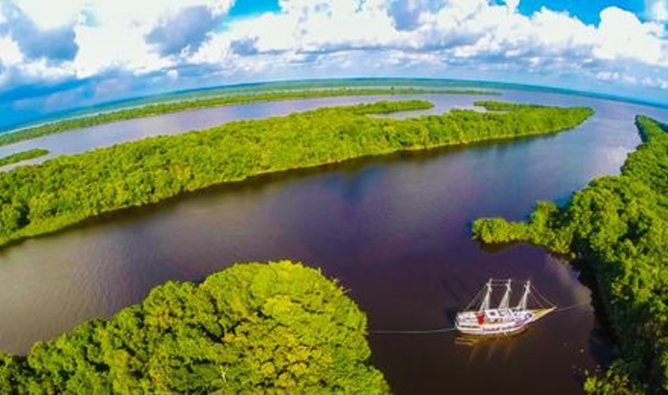 巴西 马瑙斯亚马逊河游船观光一日游(寻找粉色海豚 享用美味午餐)