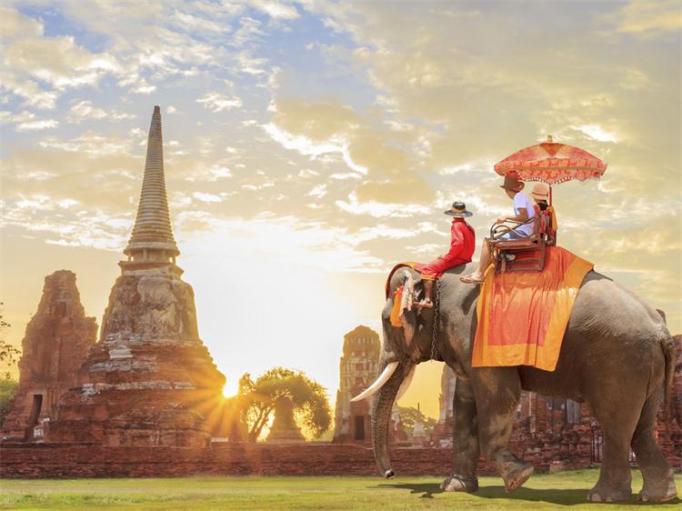 【丛林骑大象】