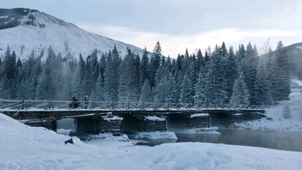 596_335gif 动态图 动图