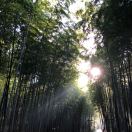 巨蟹座Eason
