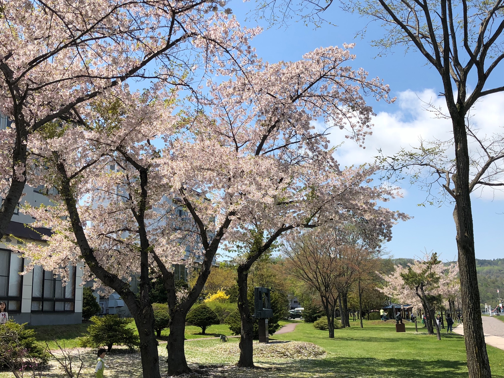 札幌自助遊攻略