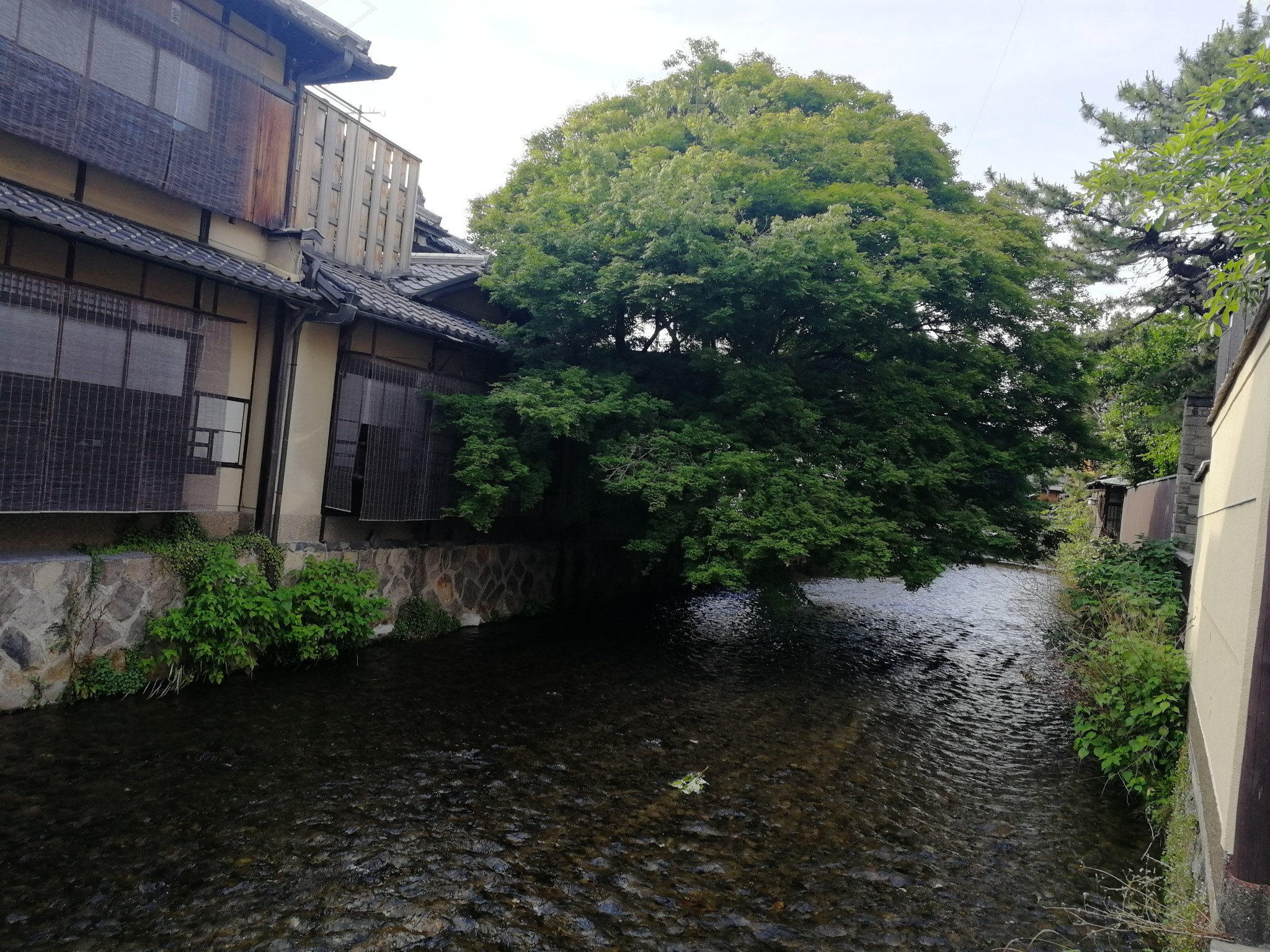 京都自助遊攻略