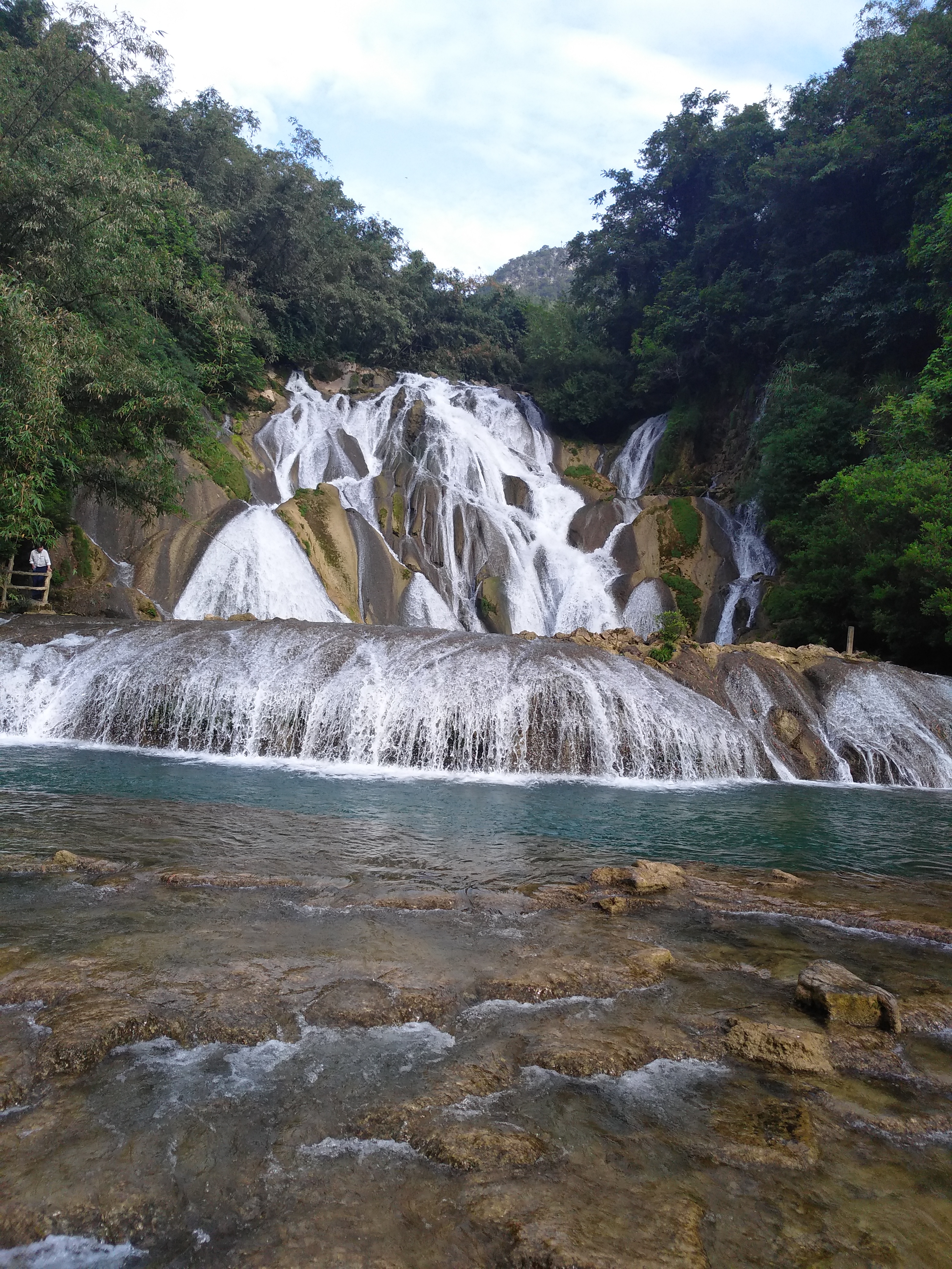 【平塘景點圖片】甲茶