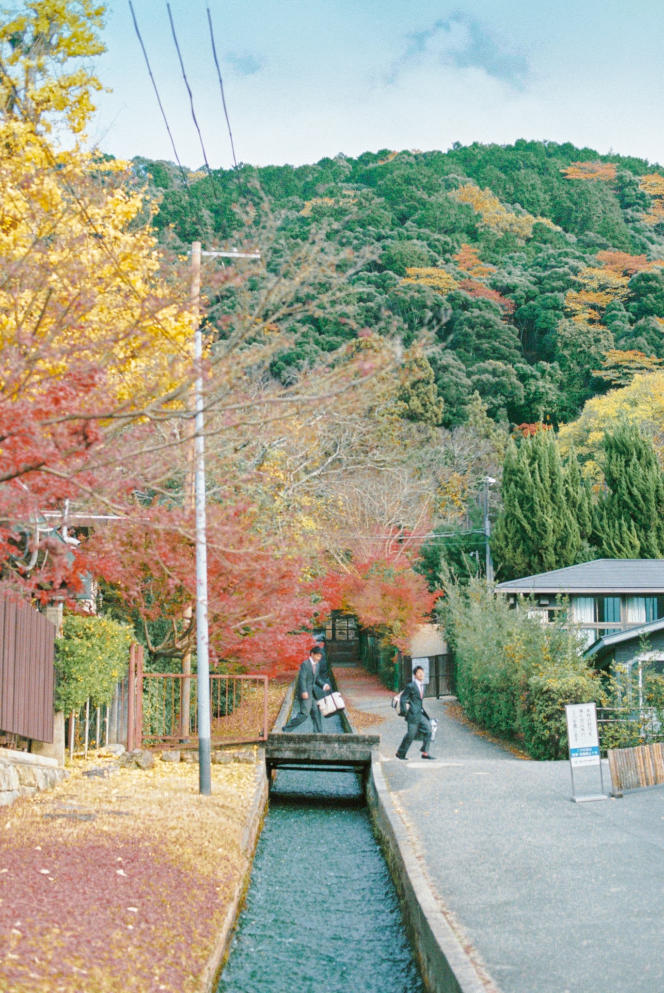 京都自助遊攻略