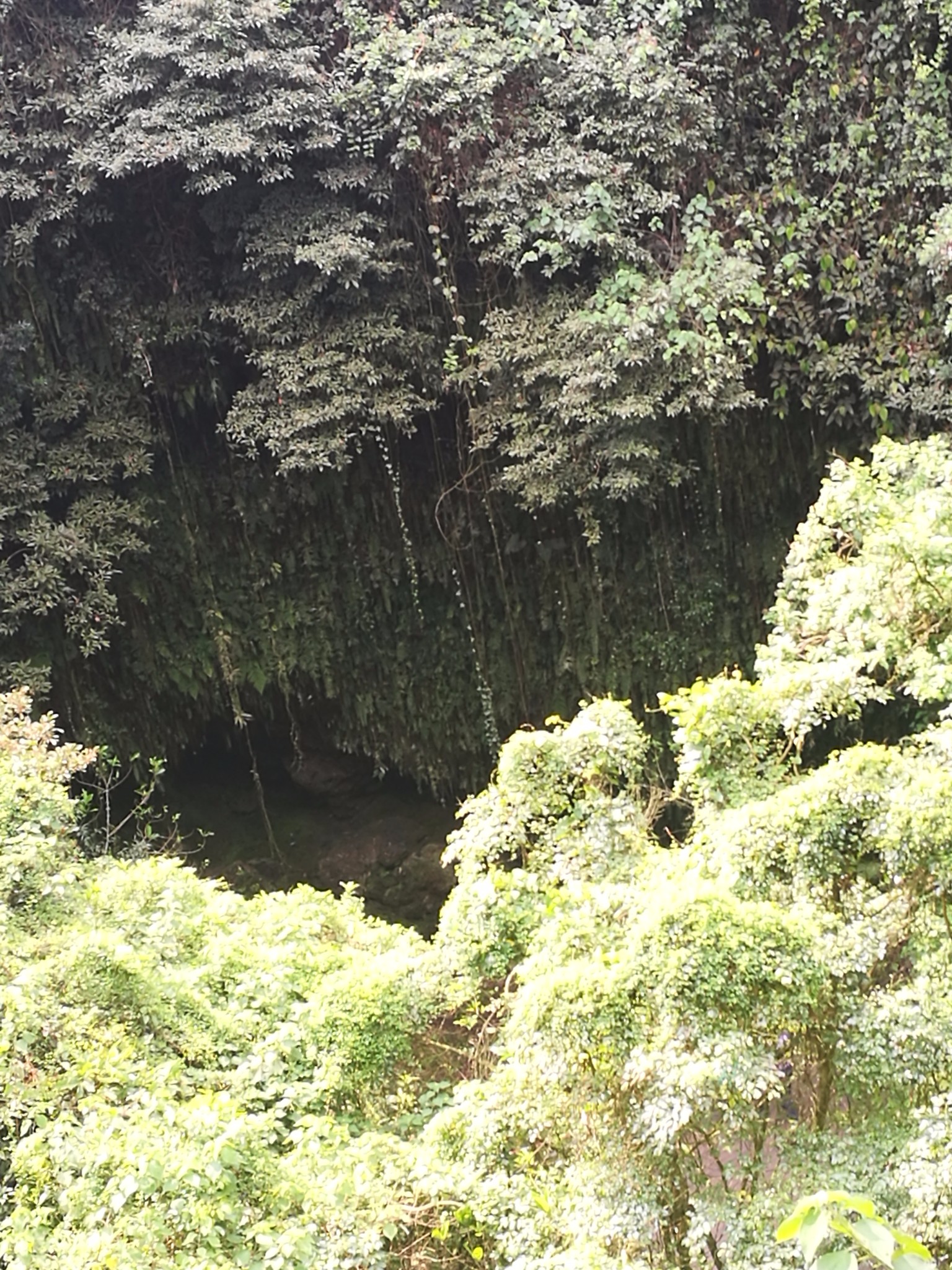 海口自助遊攻略